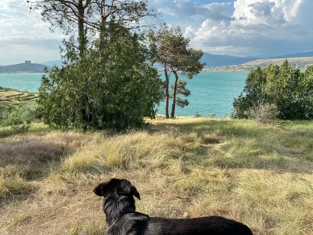 Photograph by Ольга Козлова