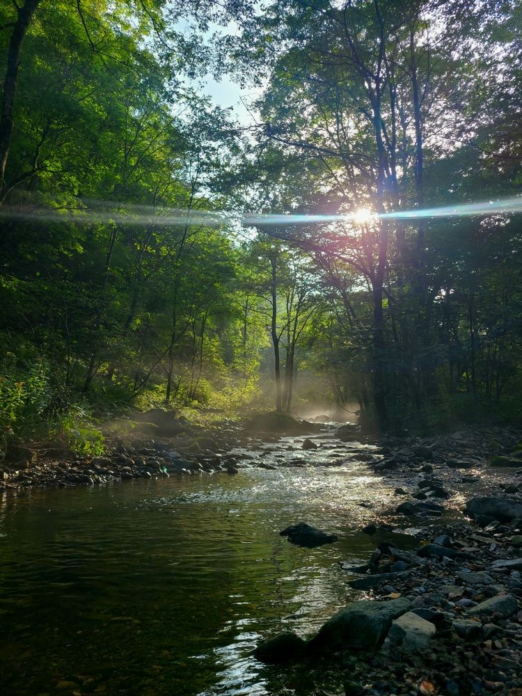 Photograph by Татьяна Бухтиярова