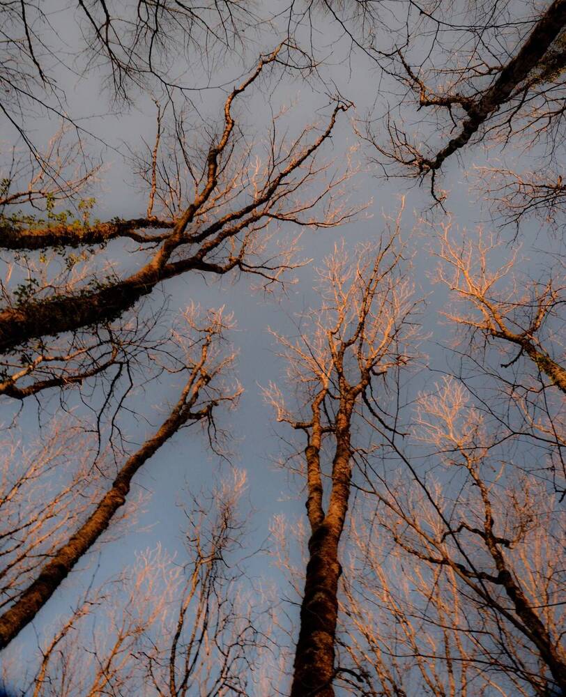 Photograph by Рената Митрова