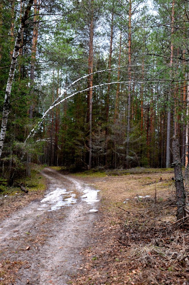 Фотография автора Mila Oreshkina