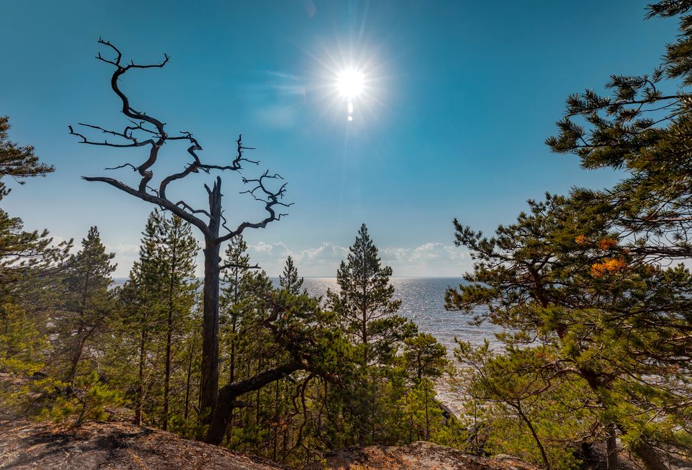 Photograph by Валентин Кузьмин