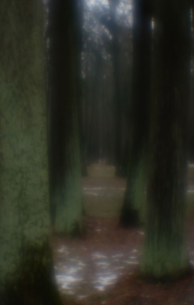 Photograph by Елена Ломова