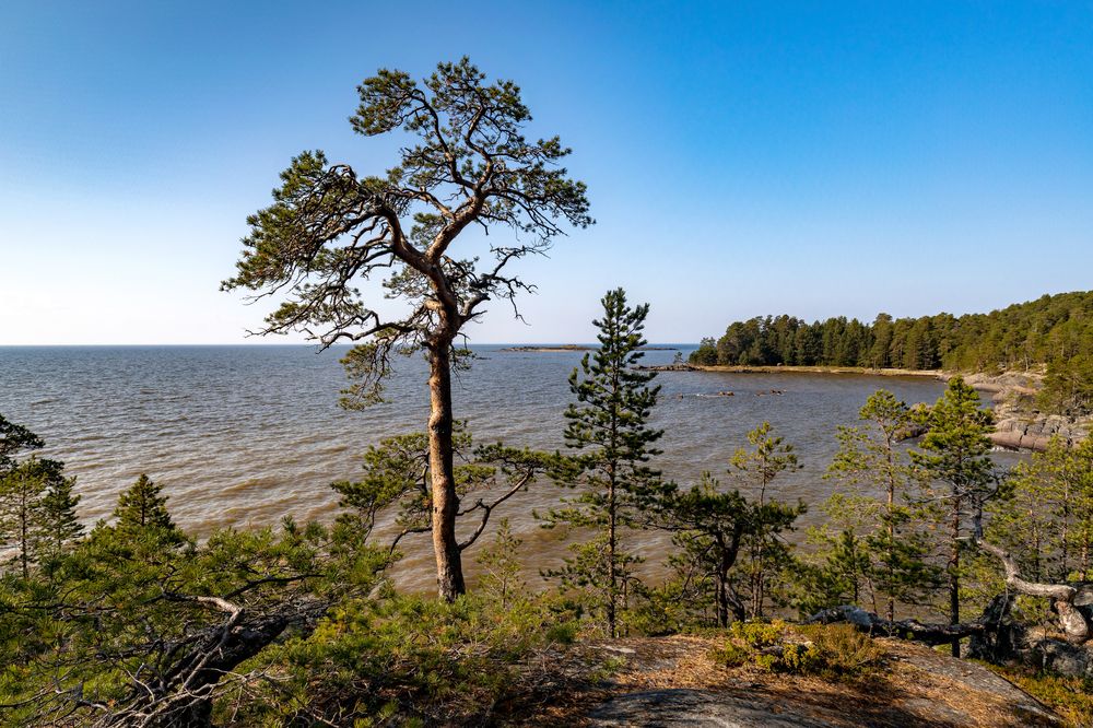 Photograph by Валентин Кузьмин