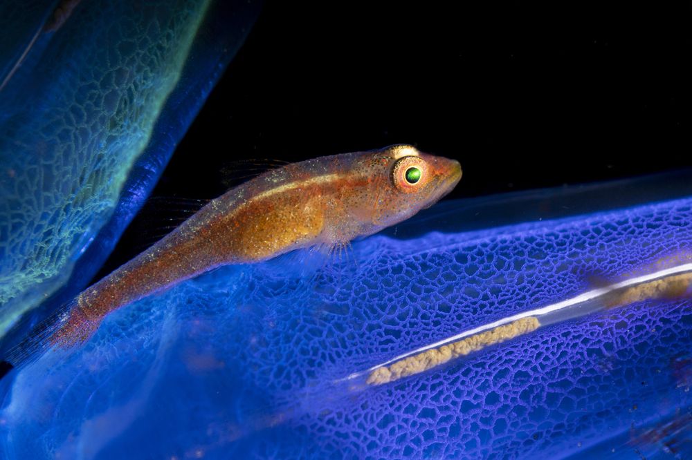 Photograph by Ceci Ver