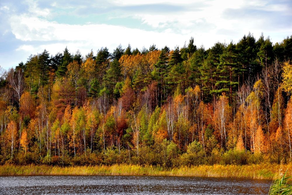 Фотография автора Дмитрий Лазаренко