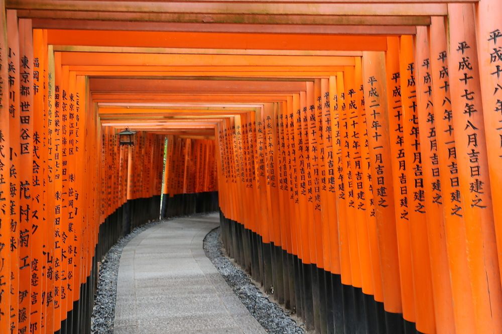 Photograph by Игорь Павель