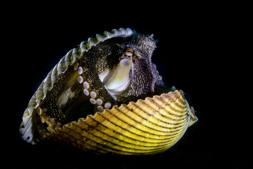 Photograph by Ceci Ver