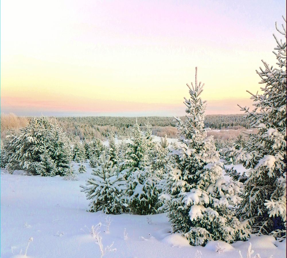 Photograph by Татьяна Бешенкина