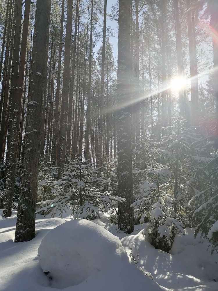 Photograph by Татьяна Бешенкина