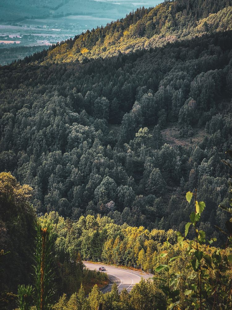 Фотография автора Evgeniy Shabanov