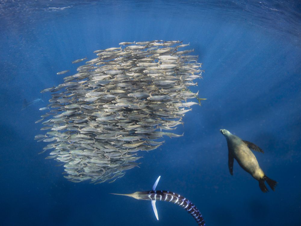 Photograph by Ceci Ver