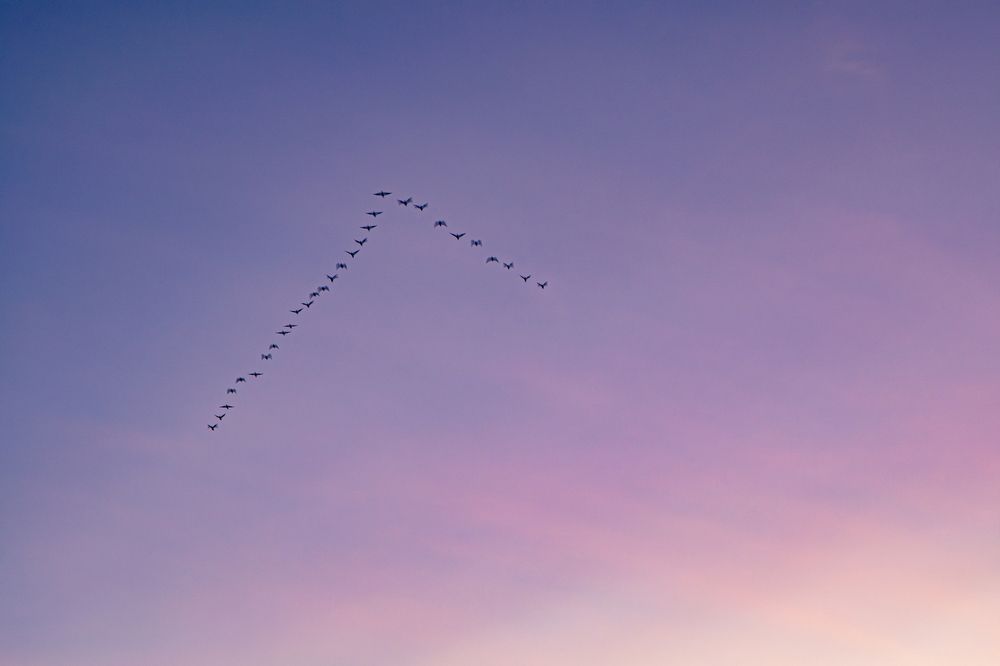 Photograph by Виктория Федосеенко