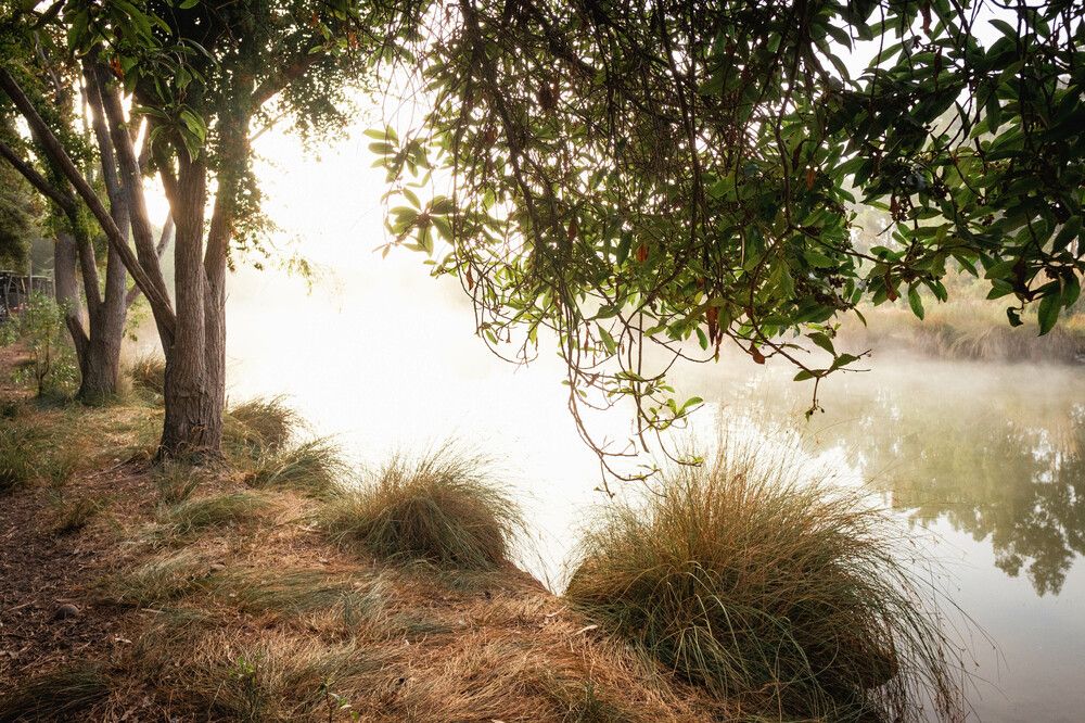 Photograph by Bryam Blanco