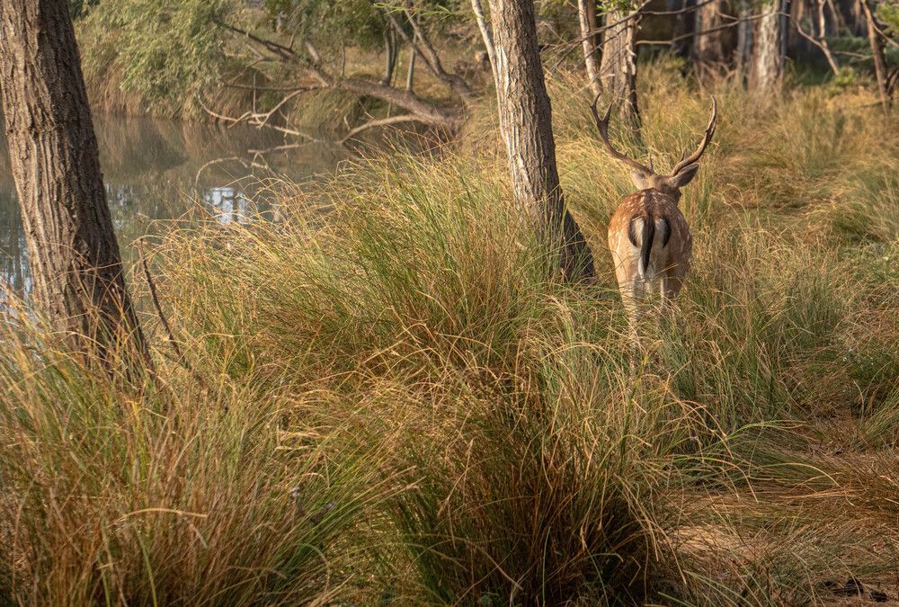 Photograph by Bryam Blanco