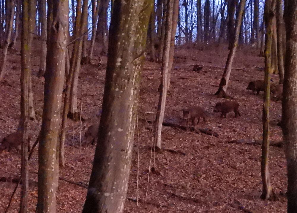 Photograph by Александр Захаров