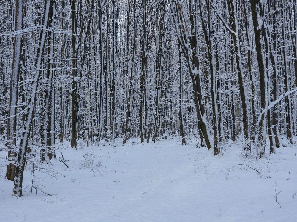 Photograph by Александр Захаров