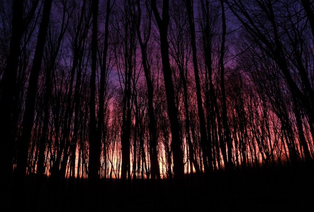 Photograph by Александр Захаров