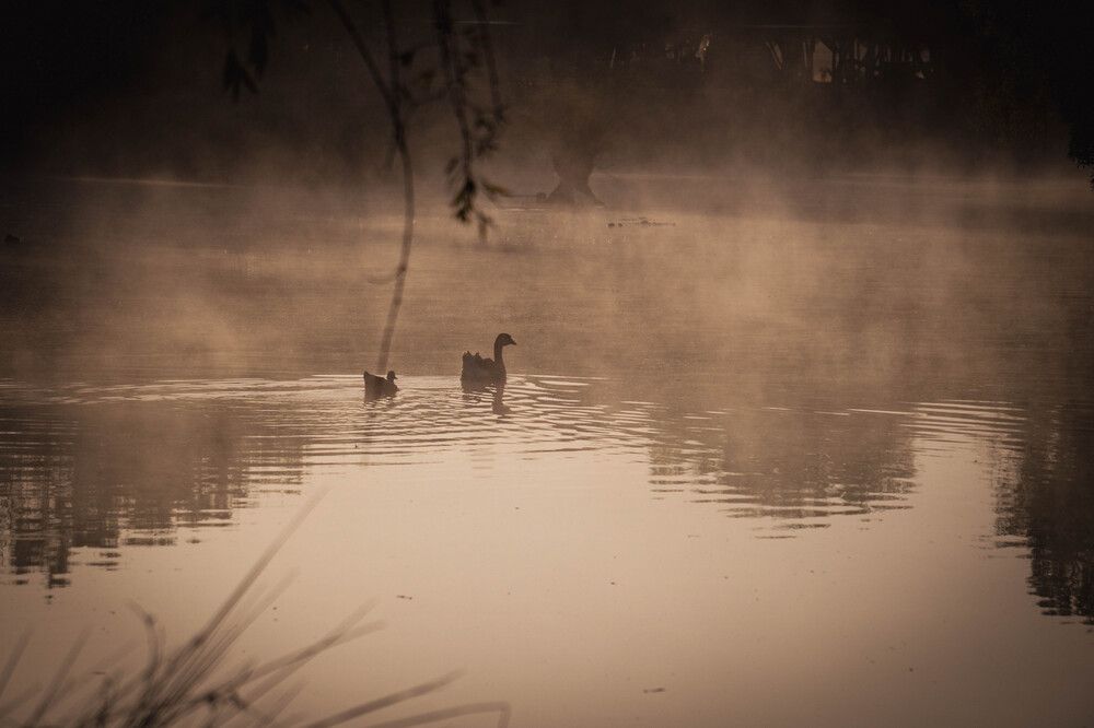 Photograph by Bryam Blanco