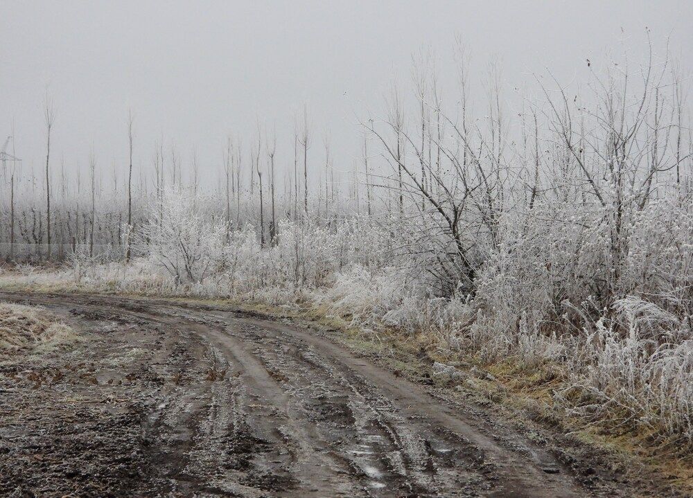 Photograph by Александр Захаров
