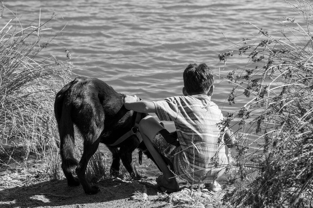 Photograph by Bryam Blanco