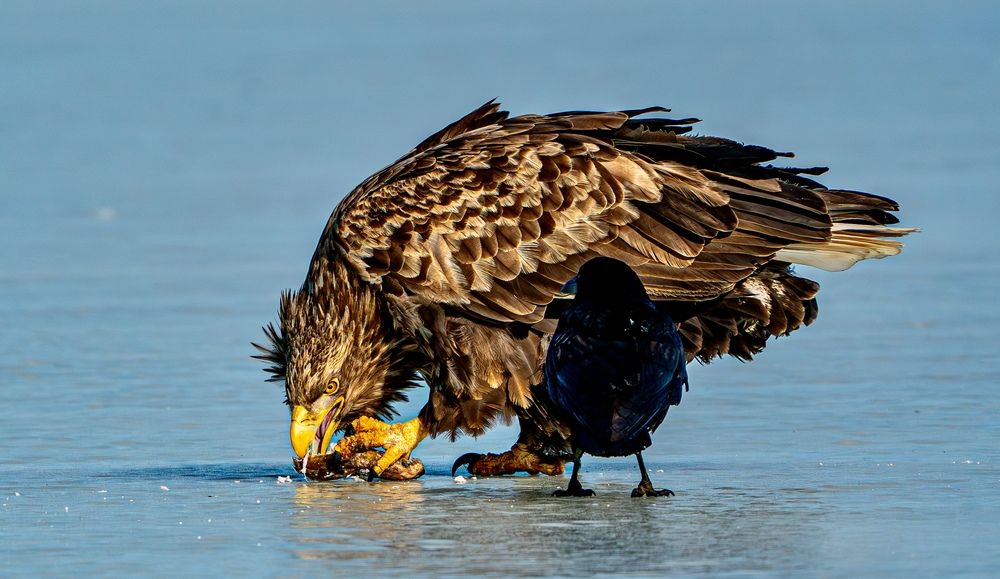 Photograph by Алексей Симонов