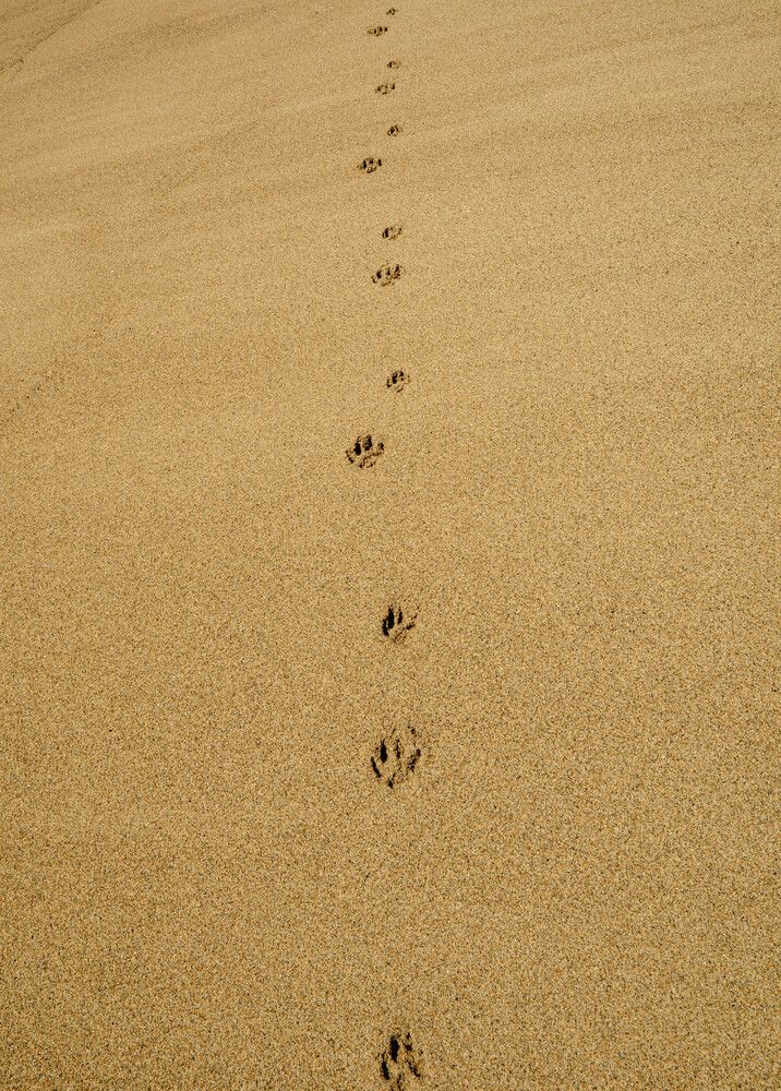 Photograph by Bryam Blanco