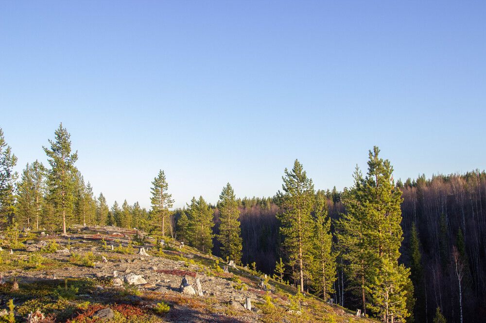 Photograph by Alina Bystrova