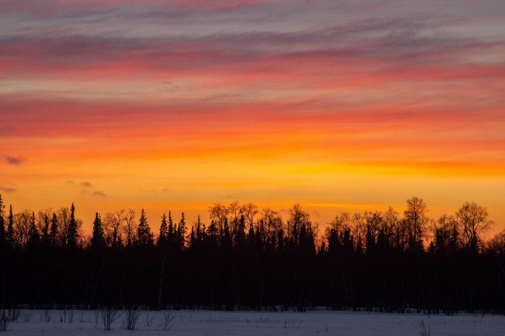 Photograph by Alina Bystrova