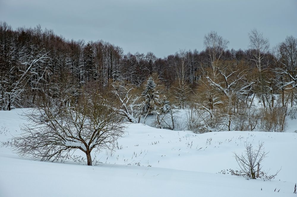 Photograph by Михаил Косолапов