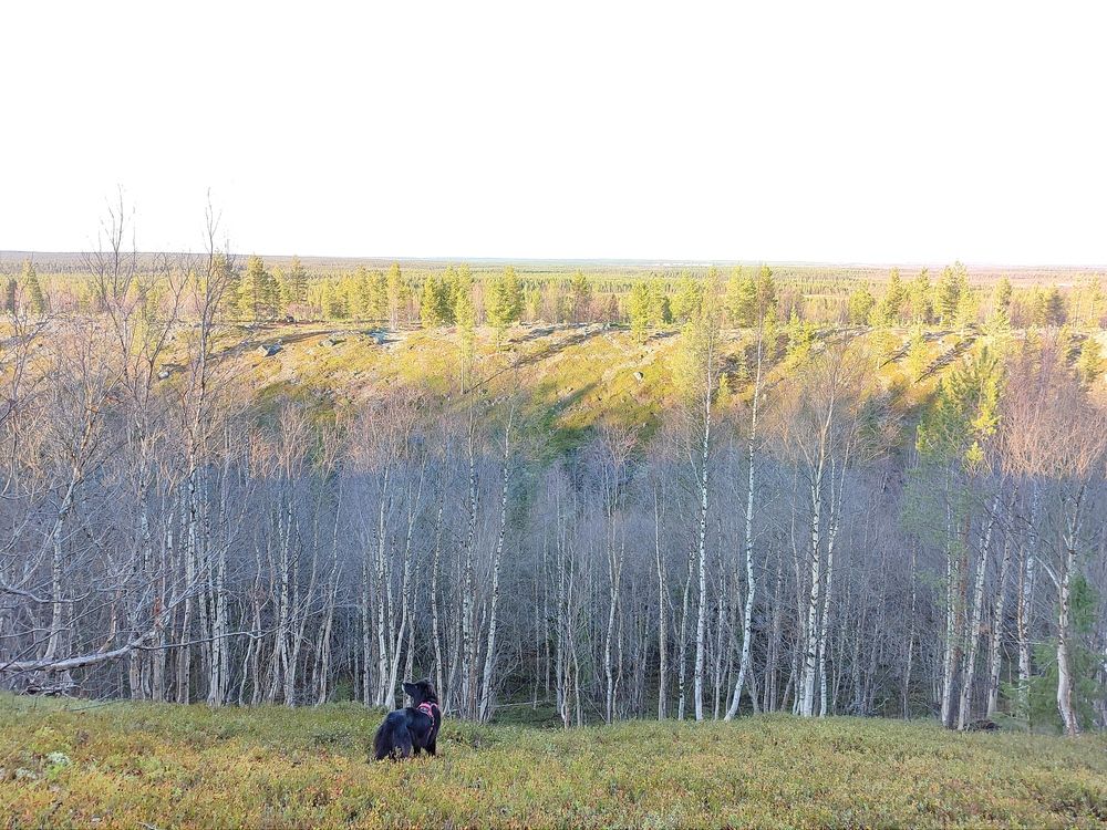 Photograph by Alina Bystrova