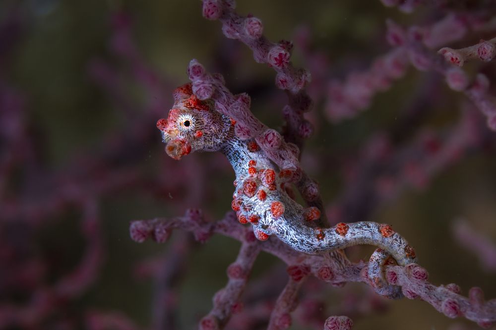 Photograph by Ceci Ver