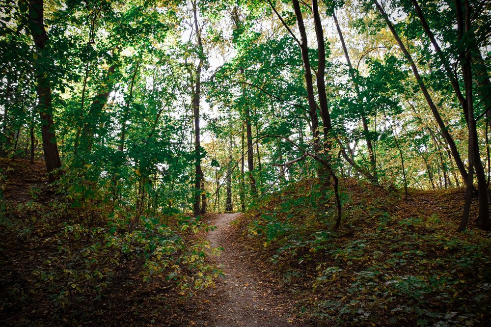 Photograph by Elvira