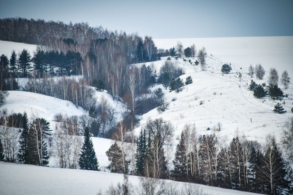 Photograph by Elvira