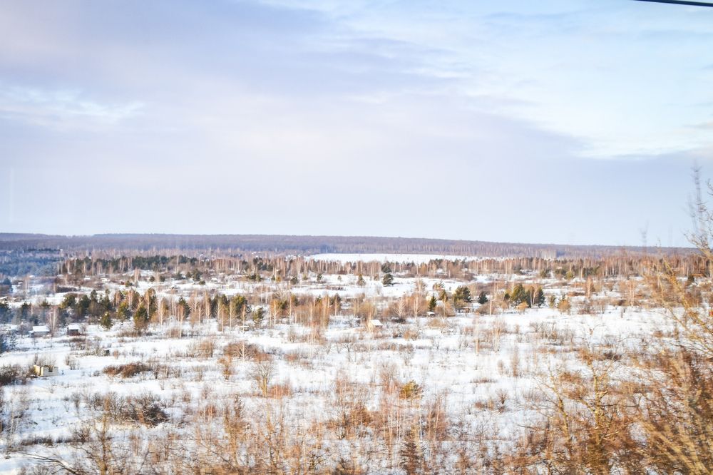 Photograph by Elvira