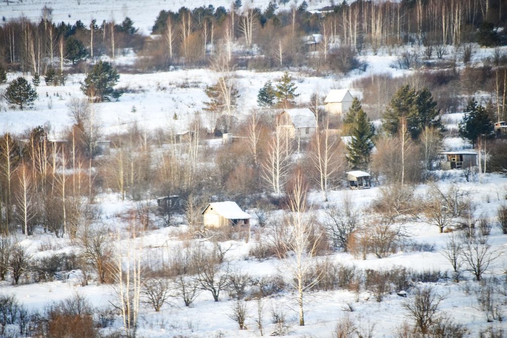 Photograph by Elvira