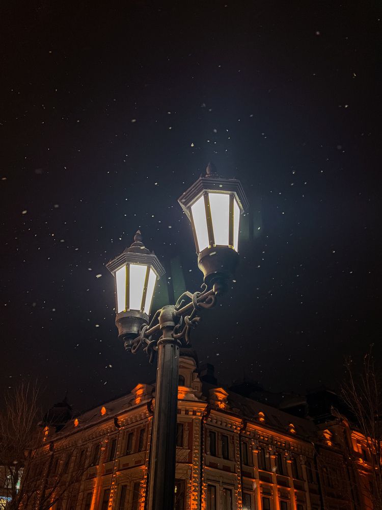 Photograph by Elvira