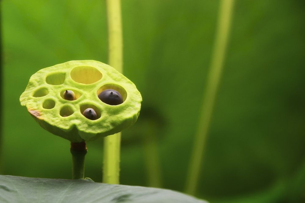 Фотография автора Альбина Хвастунова