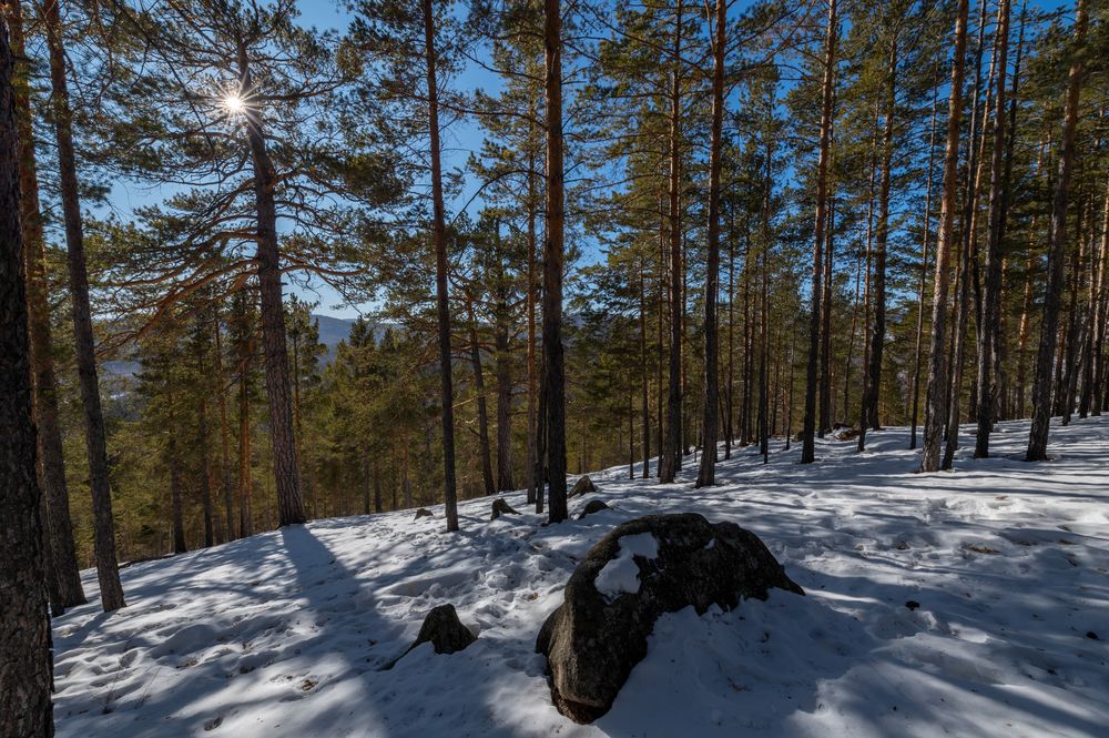 Photograph by Алексей Александрович