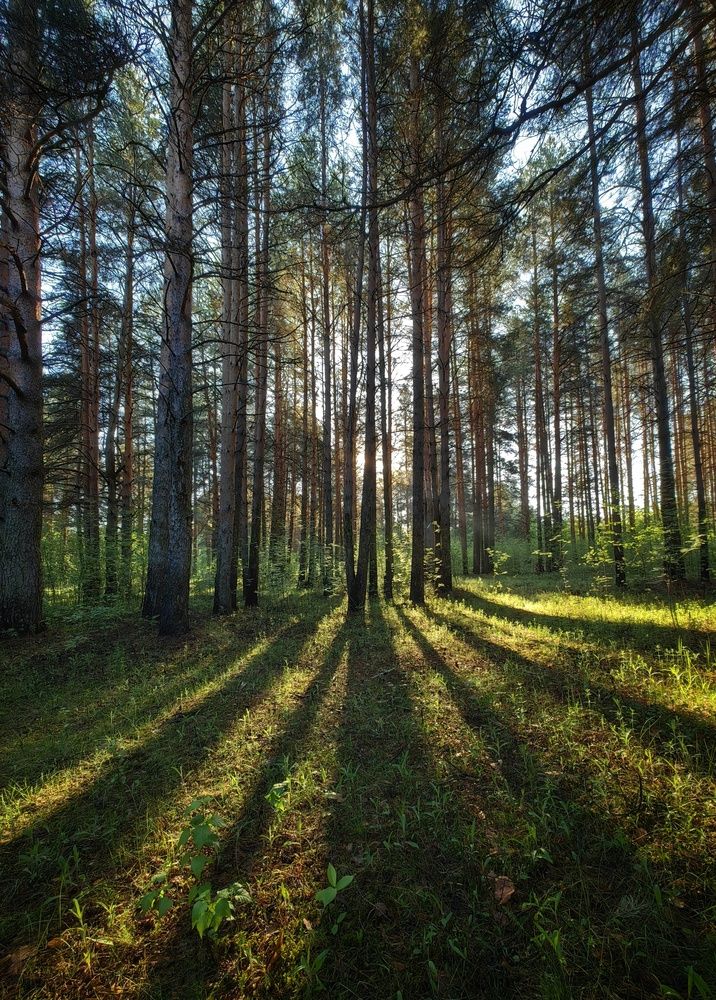 Photograph by Maiya Bulatova