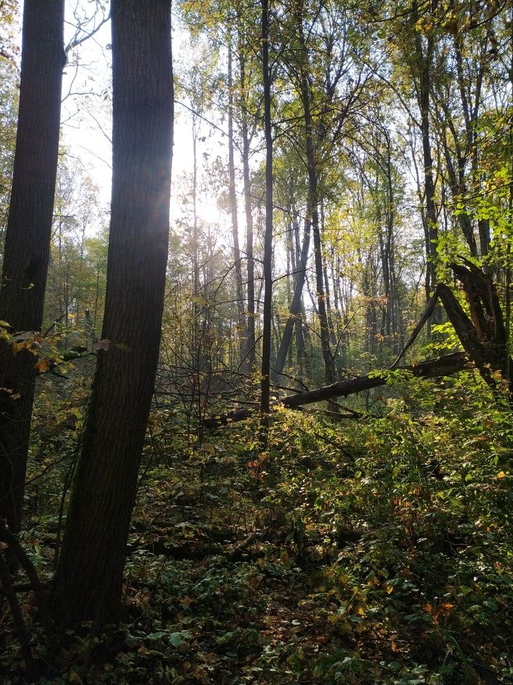 Photograph by Петрова Мария