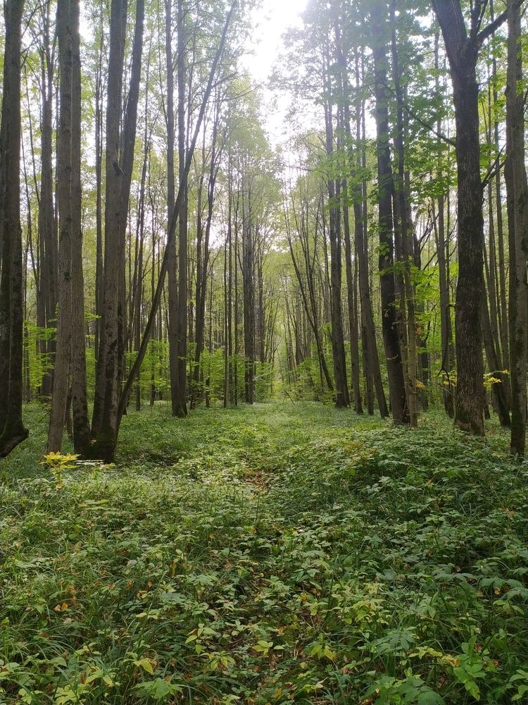 Photograph by Петрова Мария