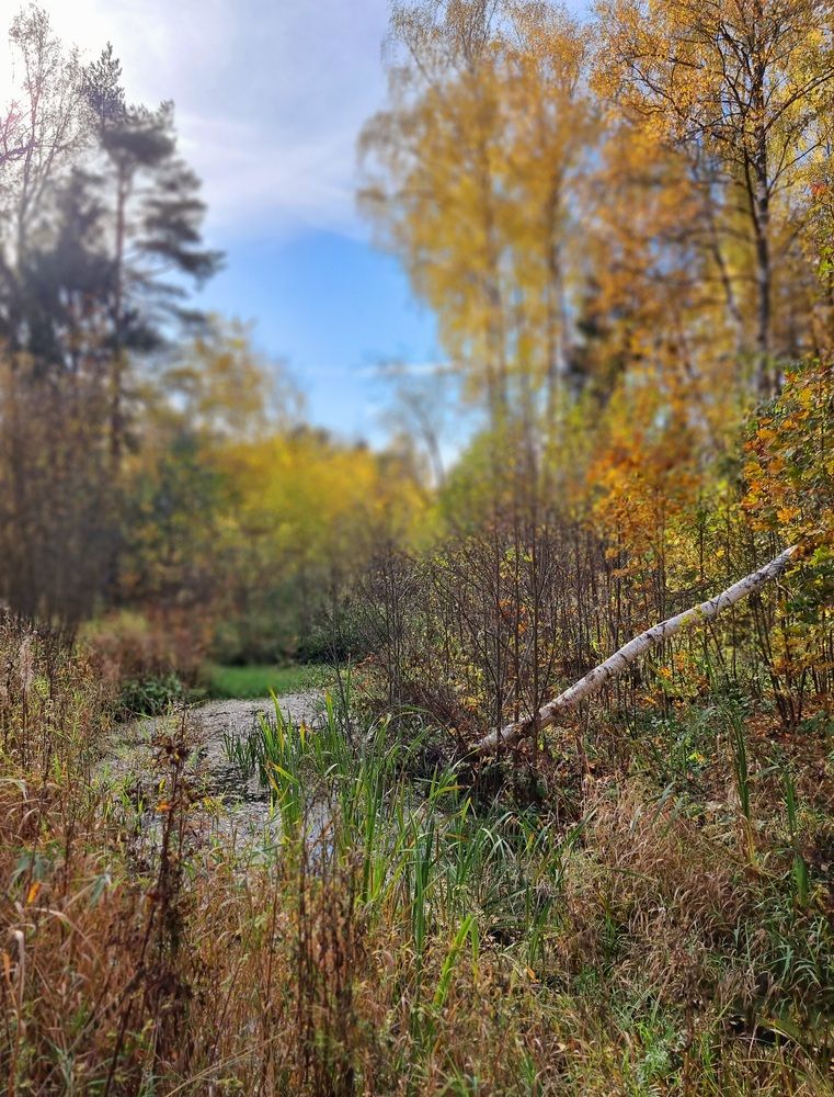 Photograph by Maria Volnova