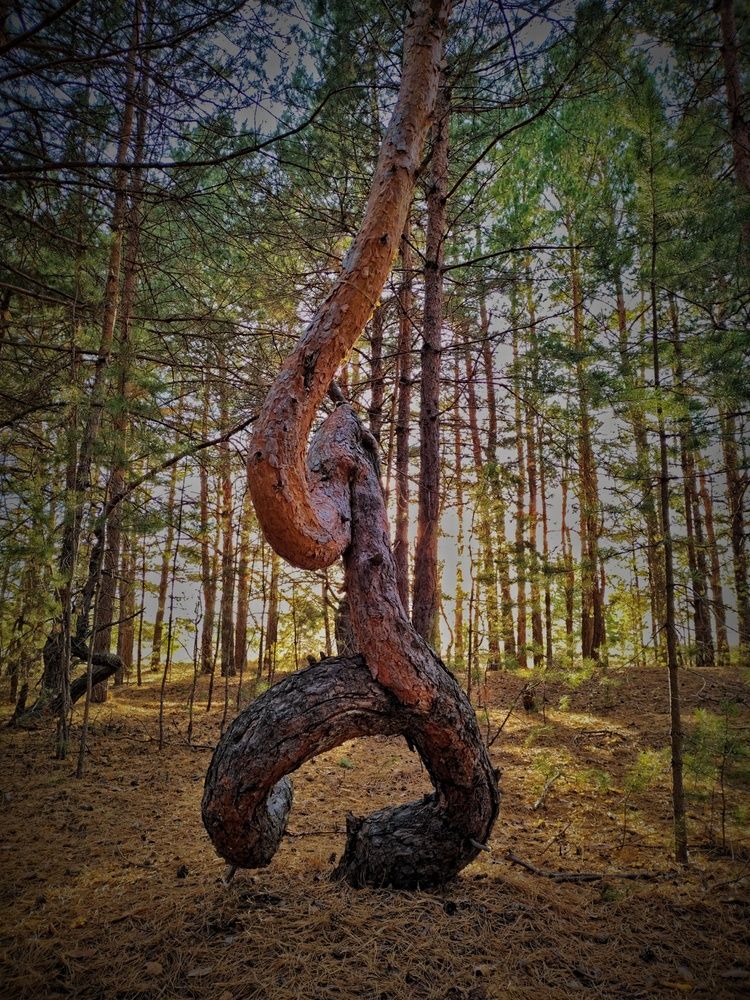 Photograph by Александр Мороз