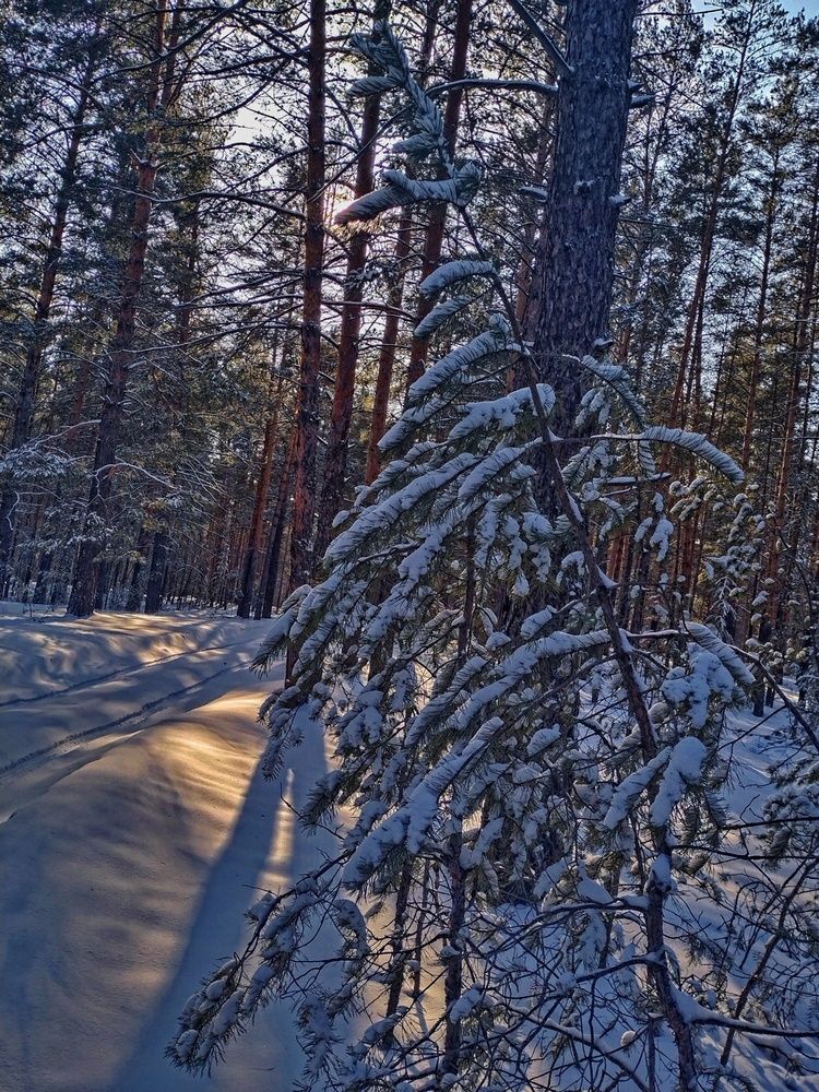 Photograph by Александр Мороз