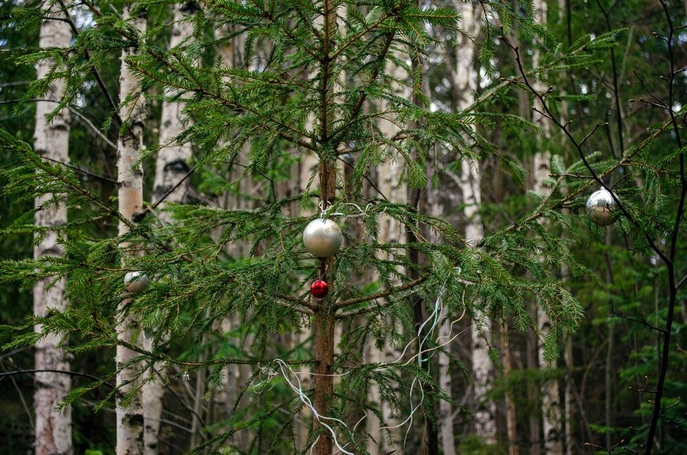 Photograph by Любовь Бусова