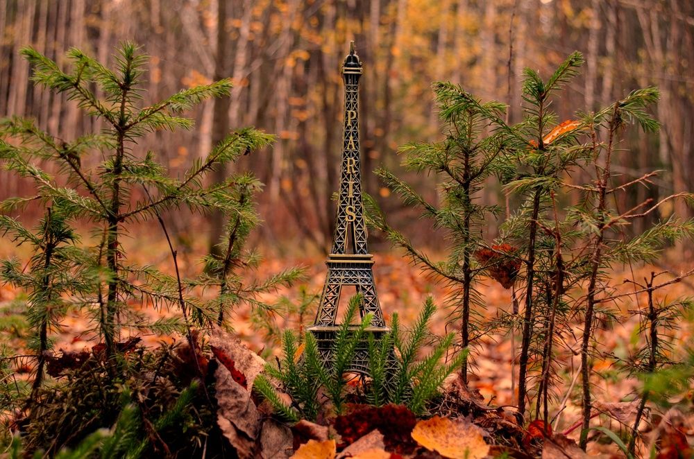 Photograph by Любовь Бусова