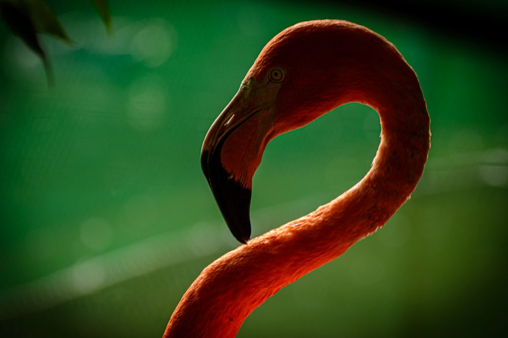 Photograph by Елена Берсенёва