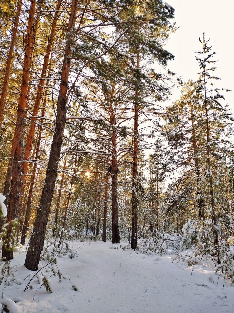 Photograph by Александр Мороз
