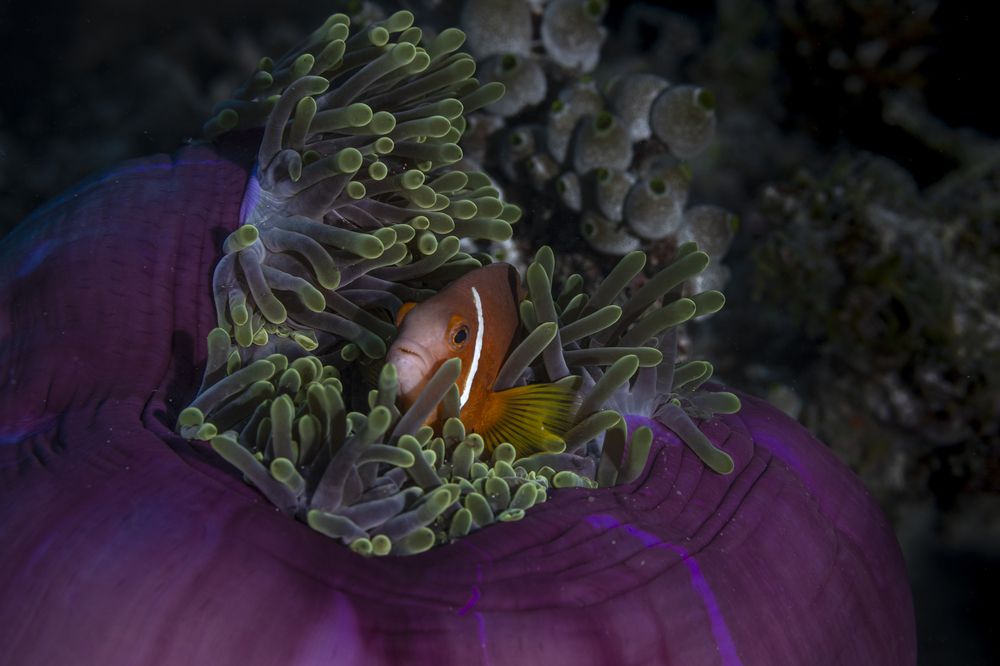 Photograph by Ceci Ver