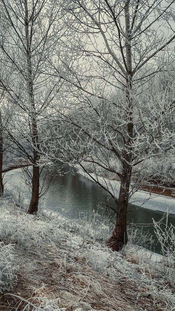 Привет декабрь